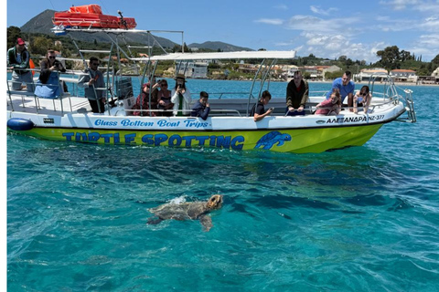 Zakynthos: 4h Turtle, Keri Caves, Mizithres & Eros Cave