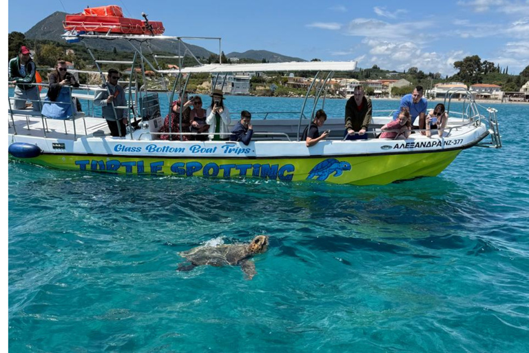 Zakynthos: 4h Turtle, Keri Caves, Mizithres & Eros Cave