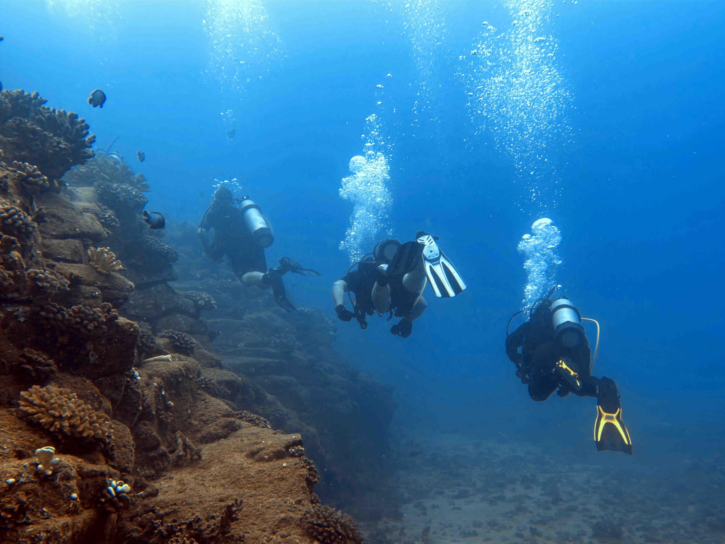 Kauai: Vormittags 2 Tank Bootstauchgang für erfahrene Taucher