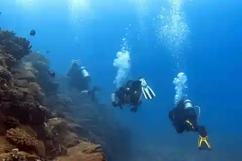 Kauai: Morning 2 Tank Boat Dive for Experienced Divers
