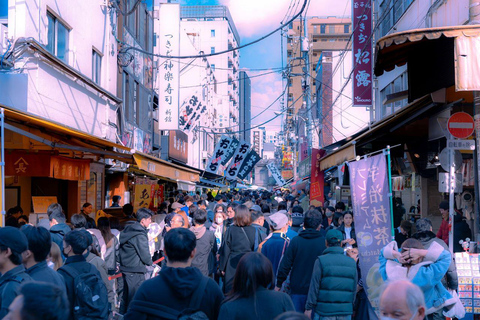 Tokyo Traditional local seafood Market Tsukiji Guided Tour