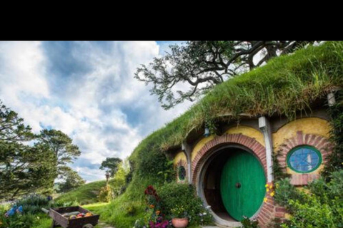 Auckland: Hobbiton& Waitomo private Tour with Hotel Pickup
