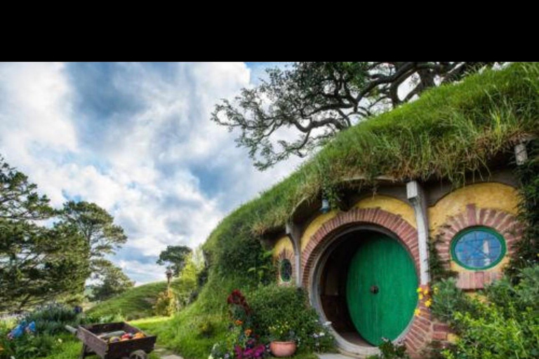 Auckland: Hobbiton& Waitomo private Tour with Hotel Pickup