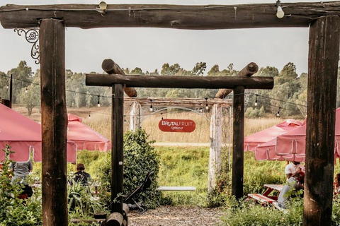 Johannesburg: Hidden African Market Tour