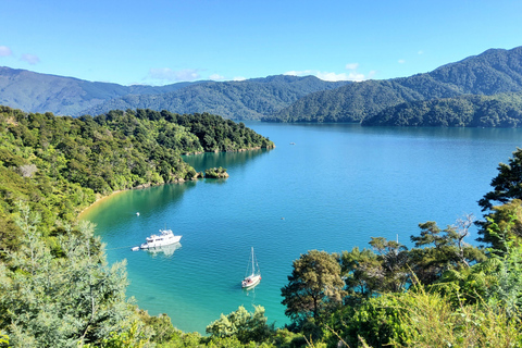 New Zealand: Guided 17-Day South Island Tour with Camping