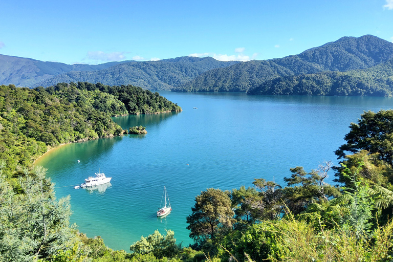 New Zealand: Guided 17-Day South Island Tour with Camping