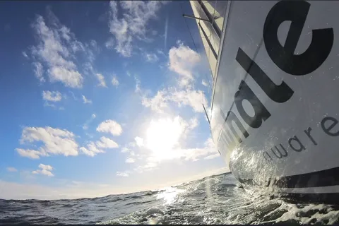 Denia: Cruzeiro em veleiro elétrico ao pôr do sol com observação de golfinhos