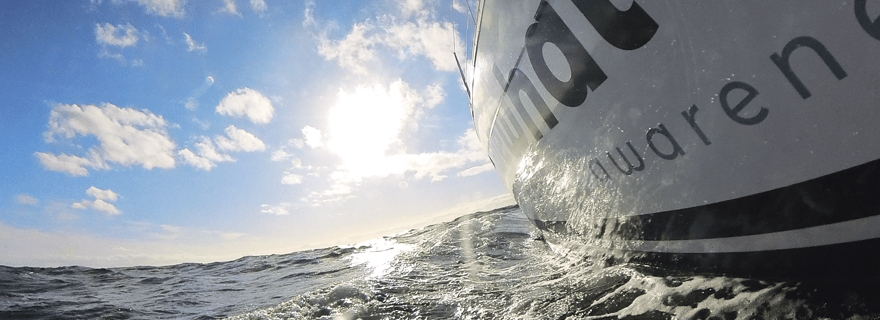 Denia : Croisière en voilier électrique au coucher du soleil avec observation des dauphins