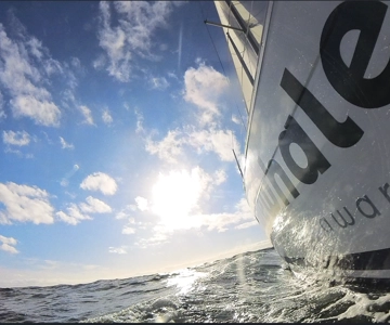Denia: Crociera in barca a vela elettrica al tramonto con avvistamento dei delfini