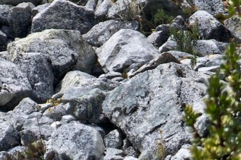 Huaraz: całodniowa laguna 69 + laguna Llanganuco