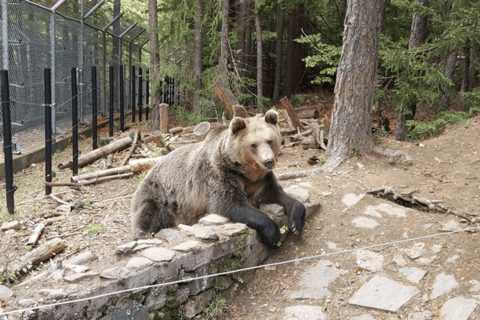 GPS & Video guided Adventurous Journey In The Rila Mountains