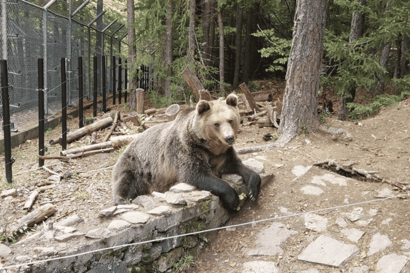 GPS & Video guided Adventurous Journey In The Rila Mountains
