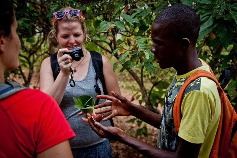 Zanzibar: Privat kryddodlingstur med lokal guide.Det här alternativet inkluderar upphämtning från hotell i Stone Town.