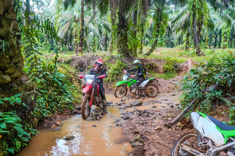 Jakarta: Guided Motorcycle Tour with Lunch and Coffee