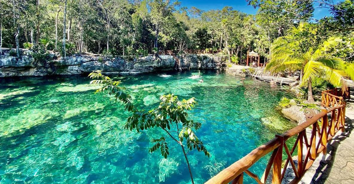 From Tulum: Casa Tortuga Cenotes Guided Full-Day Tour | GetYourGuide