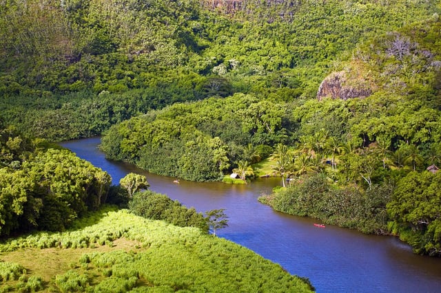 Depuis Oahu : Visite du canyon de Waimea et de la rivière Wailua à Kauai