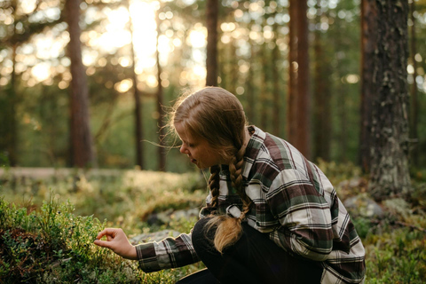 Saariselkä: escursione alla ricerca di tesori della foresta con pranzo all&#039;apertoSaariselkä: escursione tra i tesori della foresta con pranzo all&#039;aperto