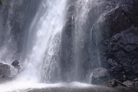 Sinharaja-Regenwald: Tour mit Wanderung zu 5 Wasserfällen