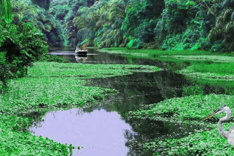 Costa Rica: Tour d&#039;avventura di 6 giorni con hotel e attività