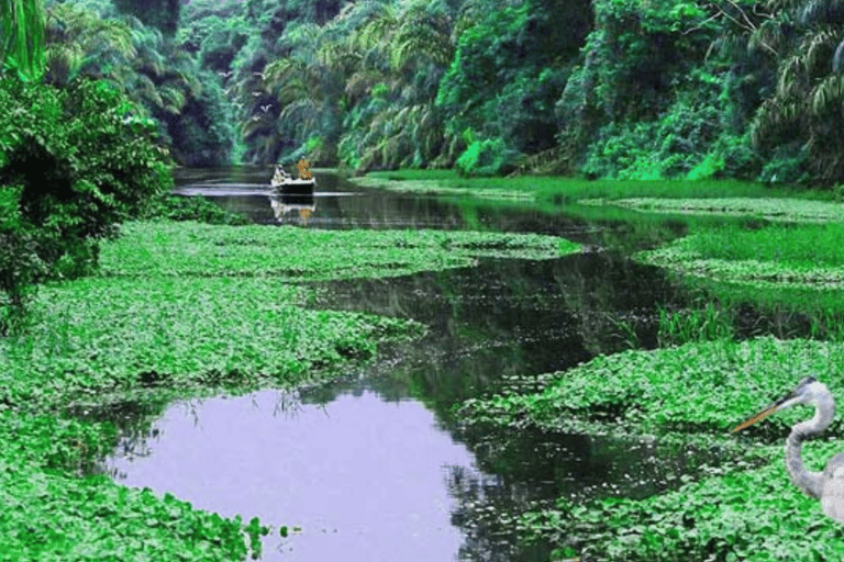 Costa Rica: Excursão de aventura de 6 dias com hotéis e actividades