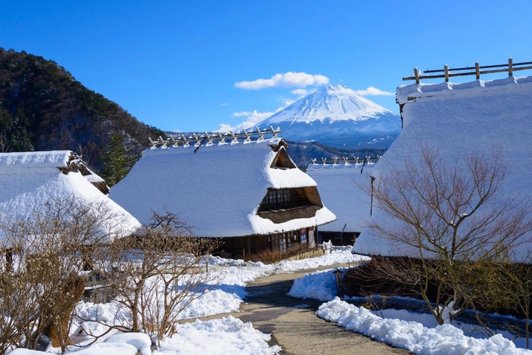 Mt Fuji 8 Spots Customizable Sightseeing Day Tour with Guide Mt Fuji 8 Spots Customizable Sightseeing Day Tour with Guide