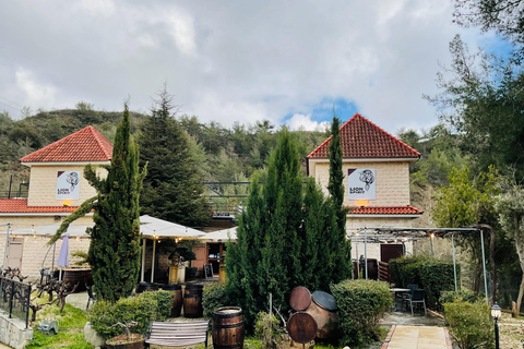 From Paphos: Troodos 4x4 Safari with Picnic & Winery visit