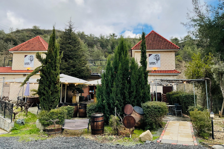 From Paphos: Troodos 4x4 Safari with Picnic & Winery visit