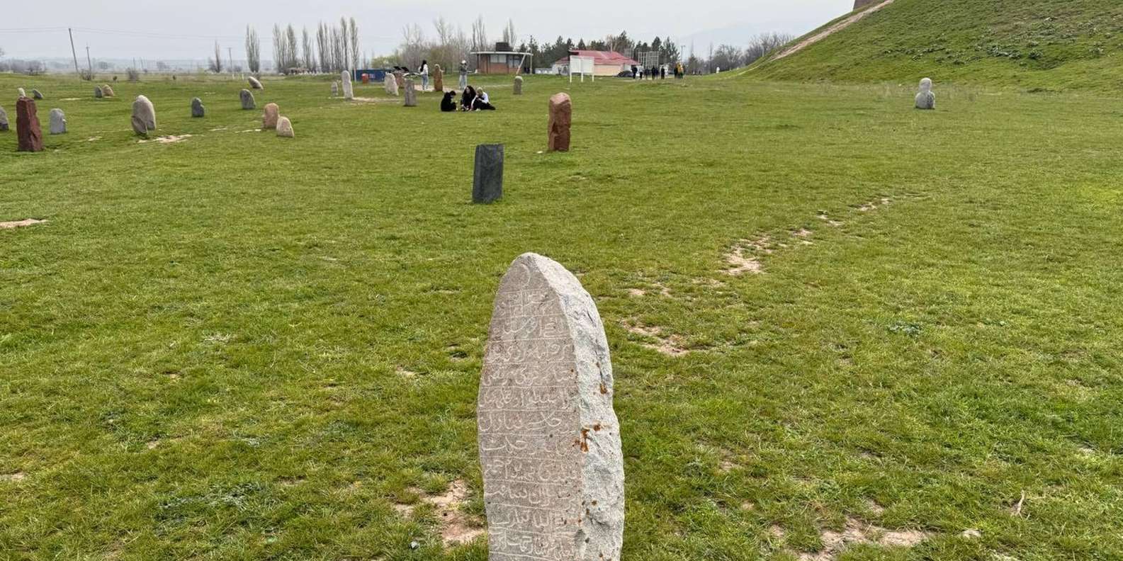section