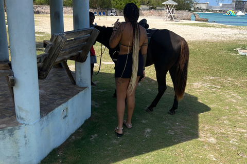 Depuis Montego Bay : Équitation-Natation &amp; Chutes de Dunns River