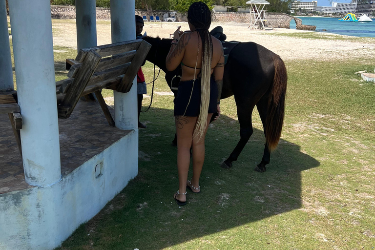 Depuis Montego Bay : Équitation-Natation &amp; Chutes de Dunns River