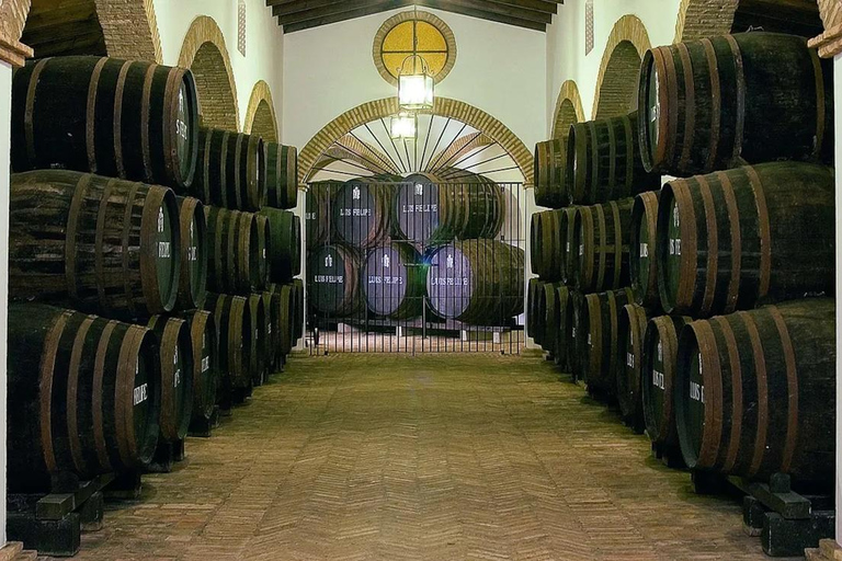 Seville: Bull Ranch, Winery & Rábida Monastery Tour