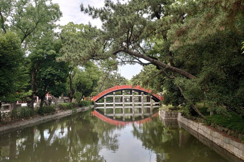 Les secrets les mieux gardés d&#039;Osaka : Visite guidée privée