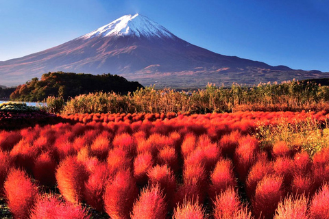 Fuji-berget, Arakura Sengen Park,Oishino hakkai,Kawaguchico TripUpphämtning på Tokyo station kl. 8.00