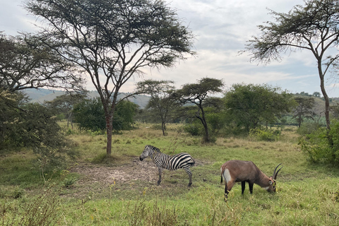 Uganda: 2-Day Lake Mburo National Park & Boat Tour