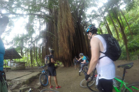 Minca: Aventura en bicicleta de montaña