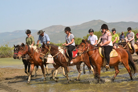 Kuşadası: VIP Horseback Riding and Sunset Beach Safari 3-Hour Sunset Forest & Village Safari