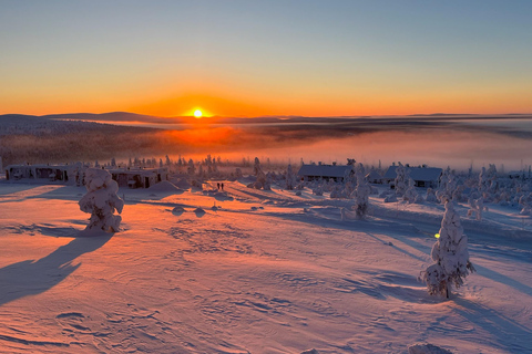 Saariselkä: Private UKK Park Snowshoe Walk & Cowboy Coffee