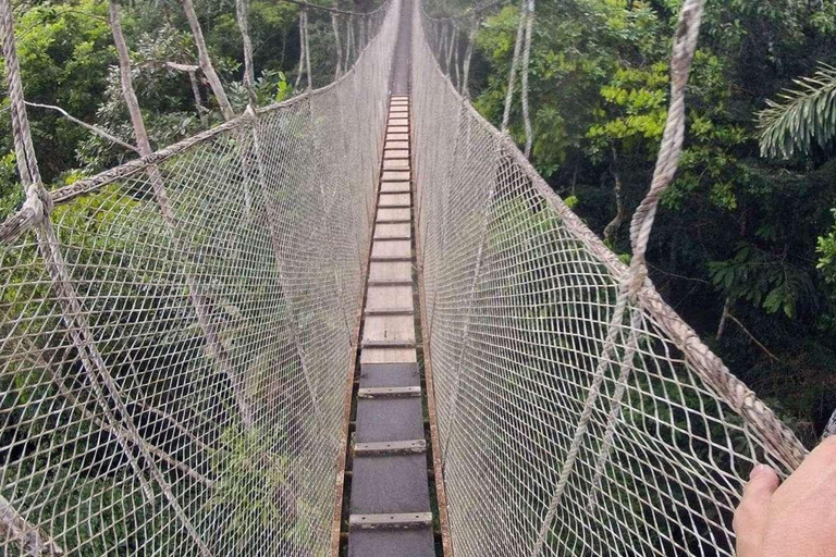 Extreme Adventure I – Iquitos | Suspension Bridge + Canopy