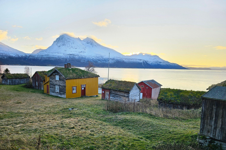 De Tromsø: Vida selvagem no Ártico e passeio turístico pelos fiordes de carro