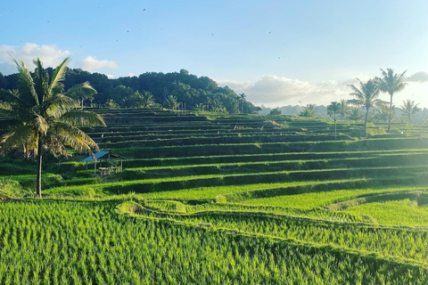 Lombok: Bangket Bayan Village & Waterfalls Guided Tour