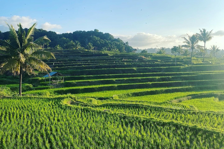 Lombok: Bangket Bayan Village & Waterfalls Guided Tour
