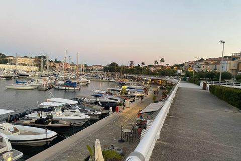 Nice: Menton, Monaco & Cap Ferrat Private Luxury Tour
