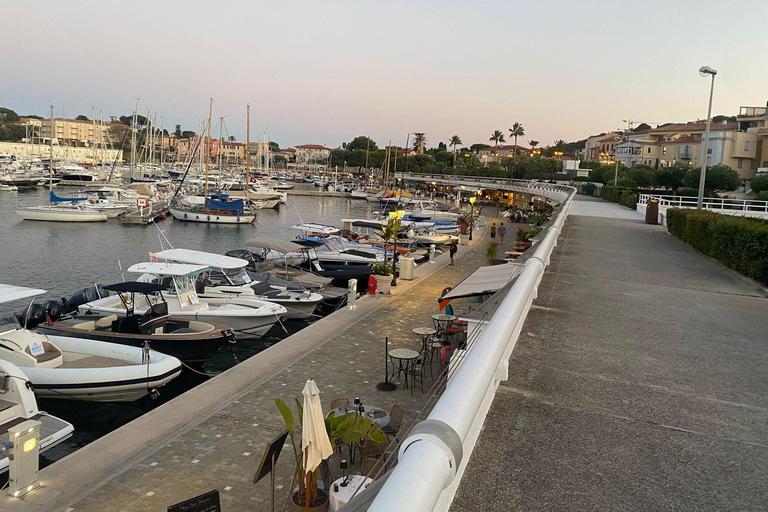 Nice: Menton, Monaco & Cap Ferrat Private Luxury Tour