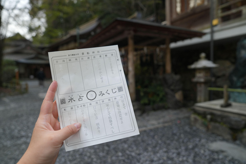 Kyoto Customisable Private Tour with a Local Guide