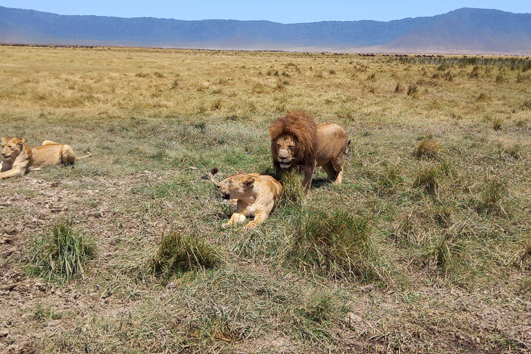 6 Days Calving Season wildebeest migration in Ndutu