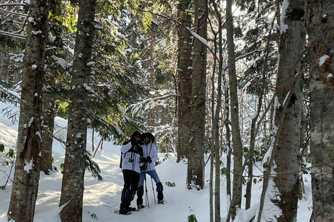 Shikotsu-Toya National Park: Guided Snowshoe Hike and Onsen Shikotsu-Toya National Park: Guided Snowshoe Hike and Onsen.