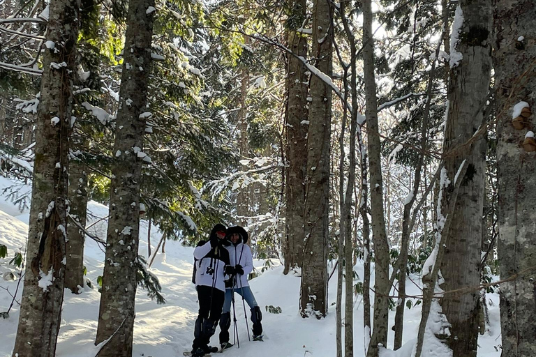 Shikotsu-Toya National Park: Guided Snowshoe Hike and Onsen Shikotsu-Toya National Park: Guided Snowshoe Hike and Onsen.