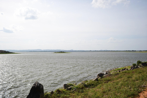 Sigiriya: Rock Hike, Elephant Safari & Polonnaruwa City Tour