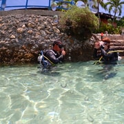Cebu: Beach Scuba Diving Experience Cebu: Beach Scuba Diving Experience