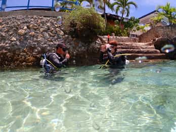 Cebu: Esperienza di immersione subacquea in spiaggia